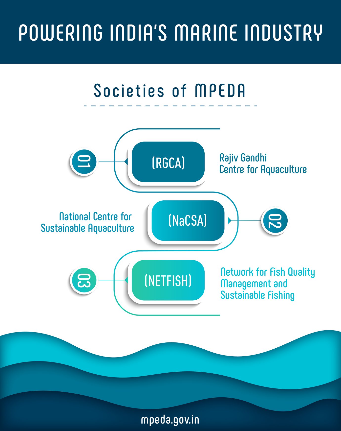 MPEDA - The societies formed under MPEDA are dedicated to...