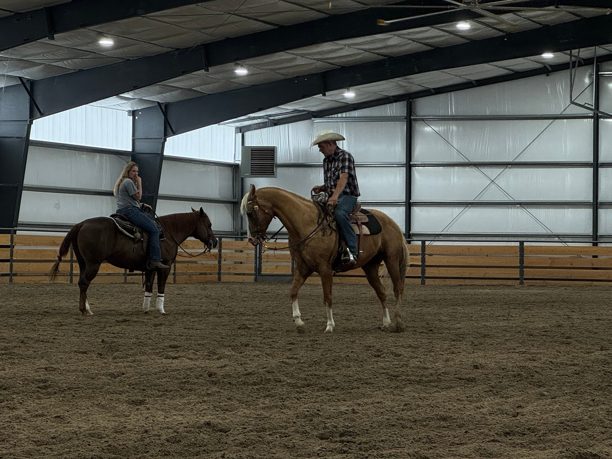 Brighton Performance Horses - Gunning for Josie aka Muzzy | Facebook