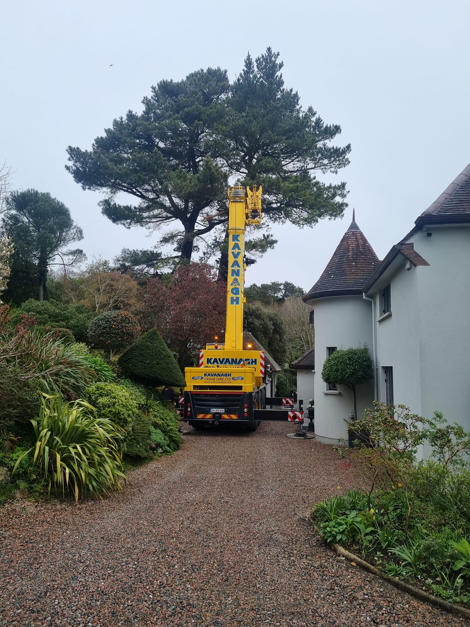 Ryan Tree Services & Landscaping | Dublin