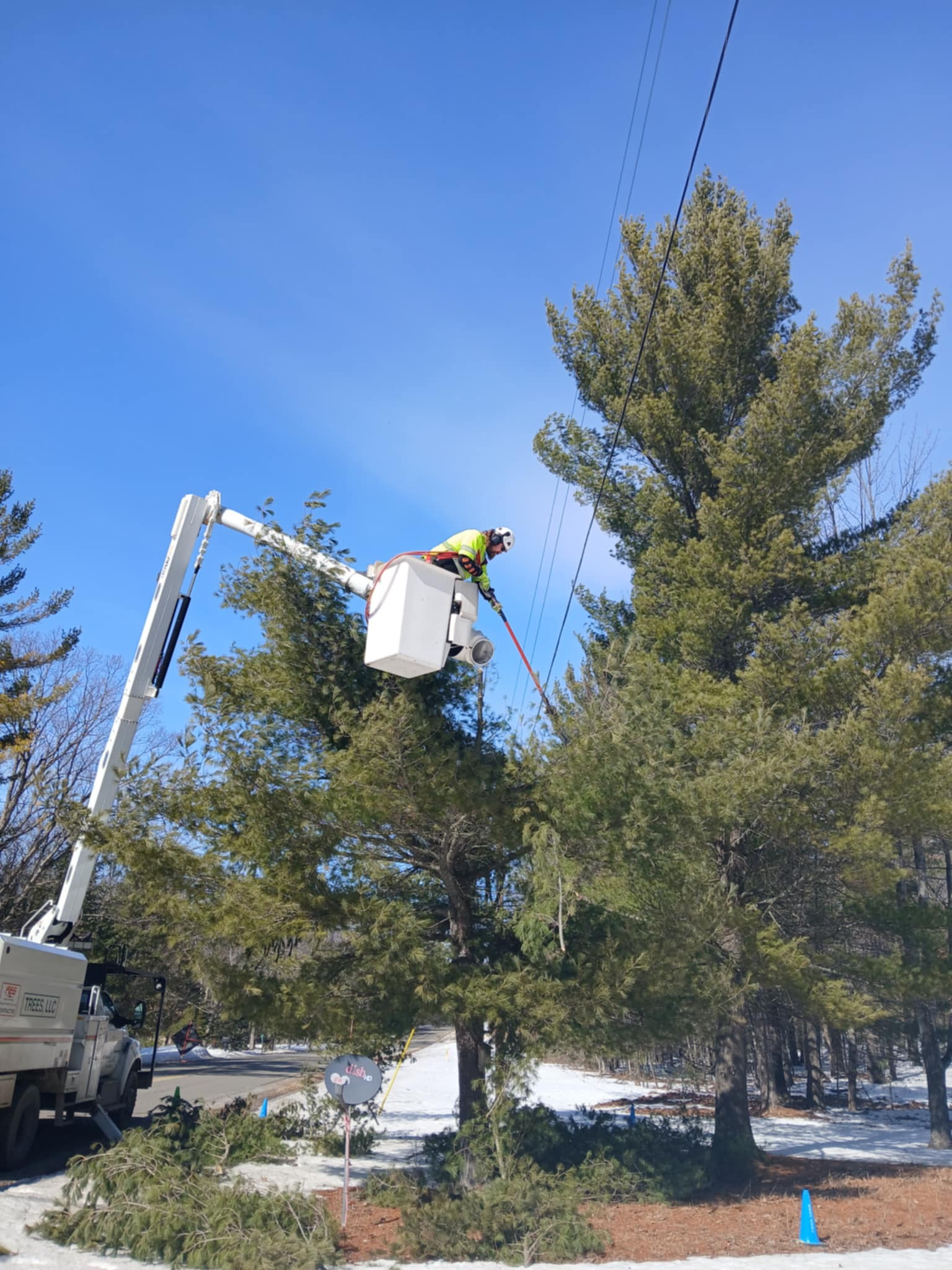 Presque Isle Electric & Gas Co-op - 🌳⚡ 5 Reasons Why We Trim Trees ⚡🌳 ...