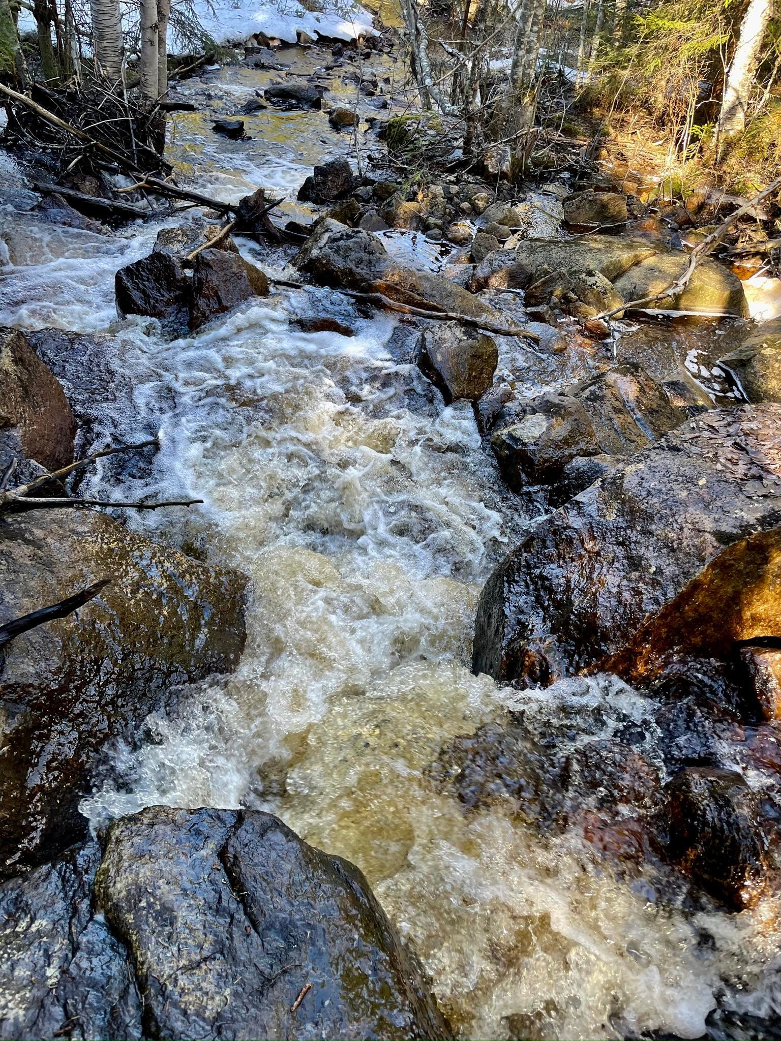 Finnskogen Guideservice added a... - Finnskogen Guideservice
