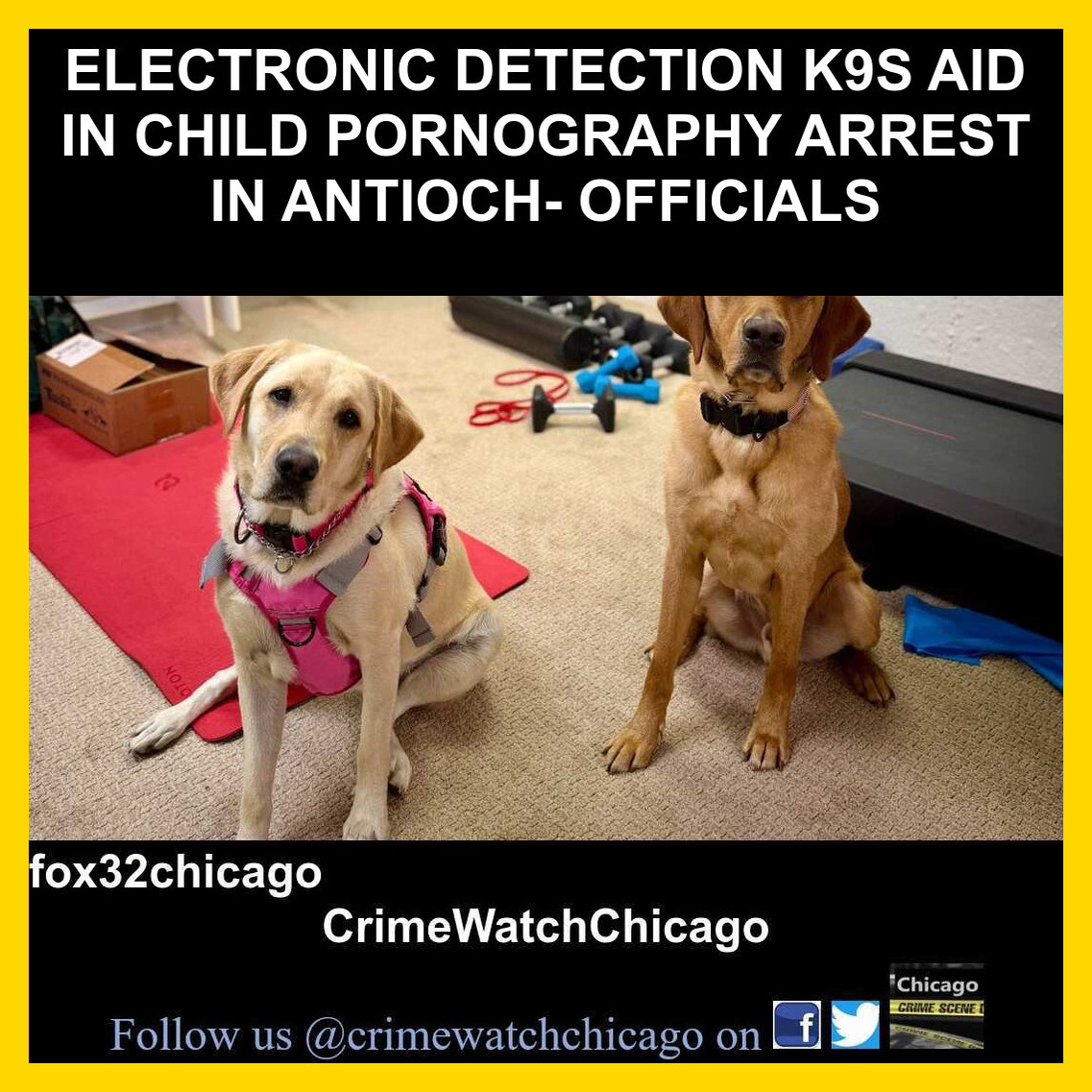 Crime-Watch-Chicago - The Brief Lake County Sheriffs Detectives traced ...