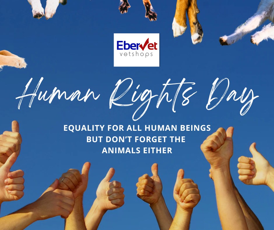 EberVet - 🐾 Human Rights Day Reminder! 🐾 Today, we celebrate Human ...