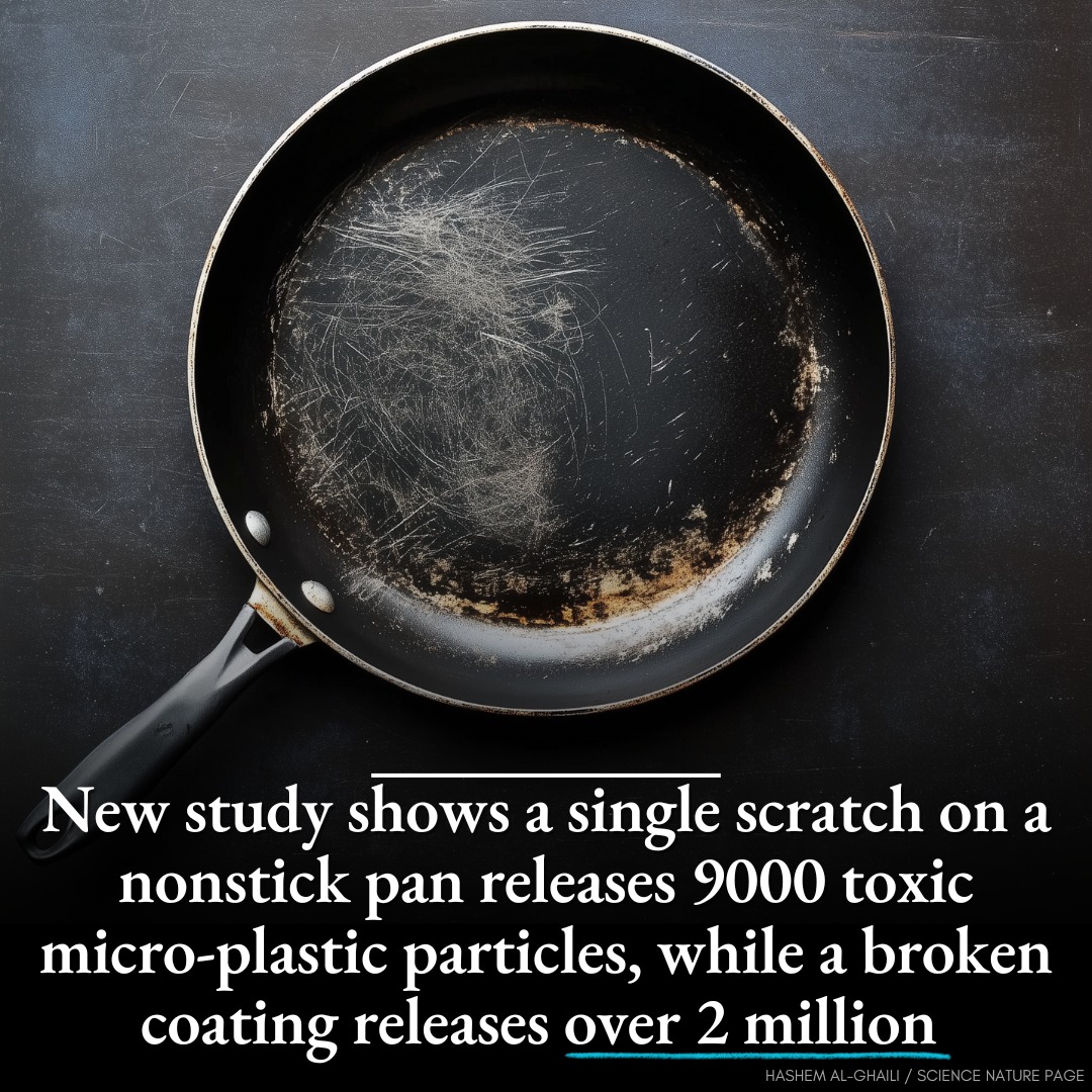 Hashem Al-Ghaili - Research just proved that nonstick pans release ...