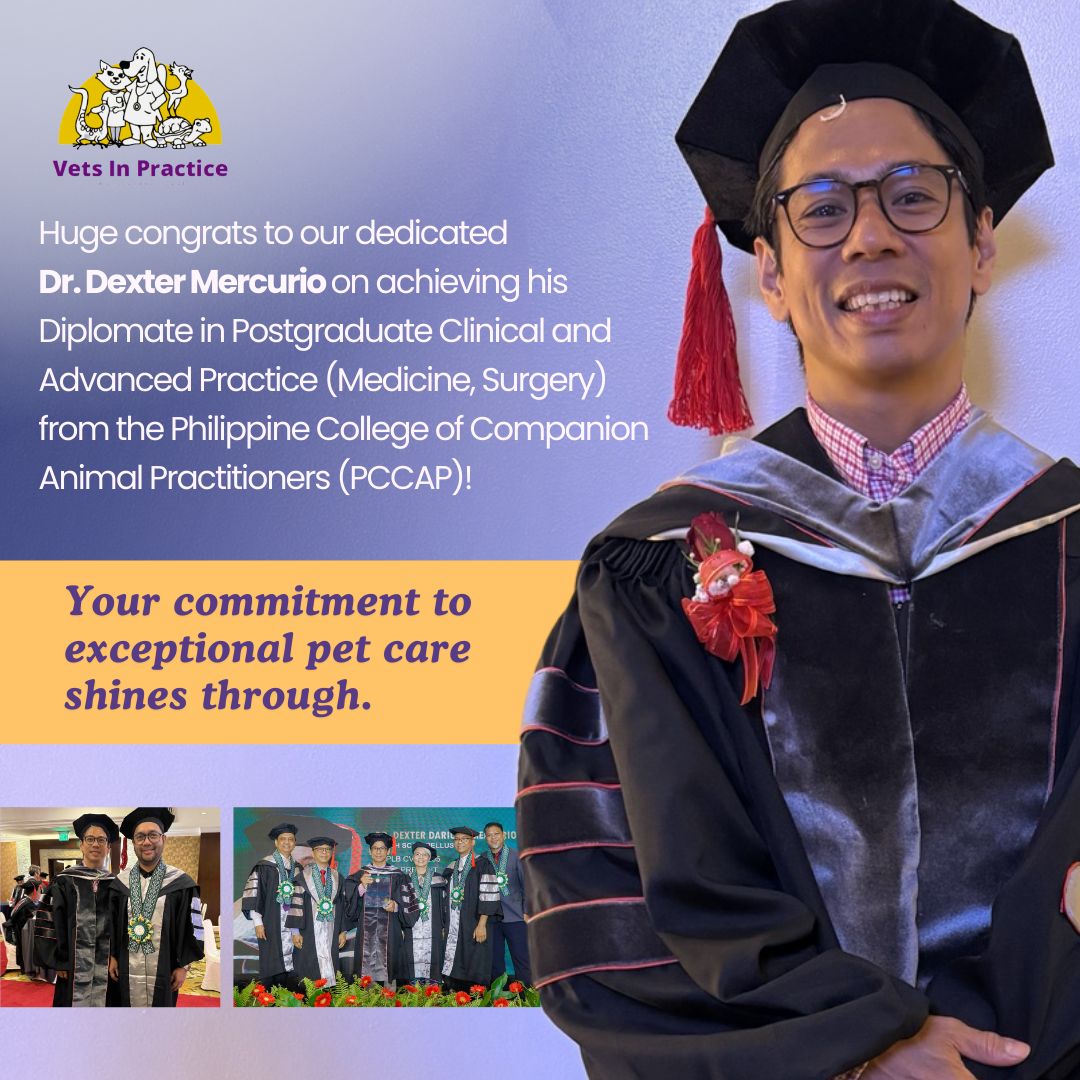 From an already skilled specialist to... - Vets In Practice | Facebook