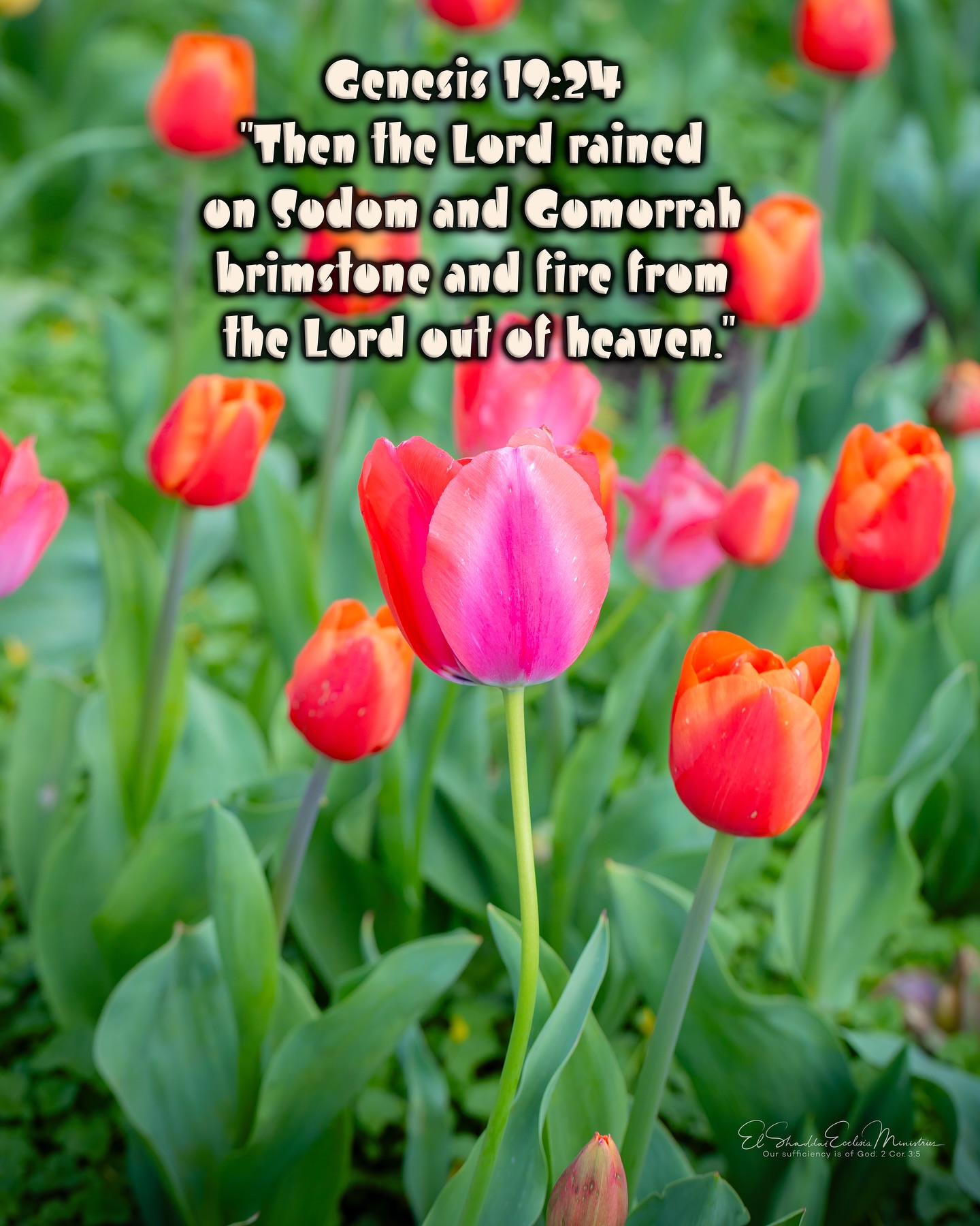 ElShaddai - Genesis 19:24 “Then the Lord rained on Sodom and Gomorrah ...