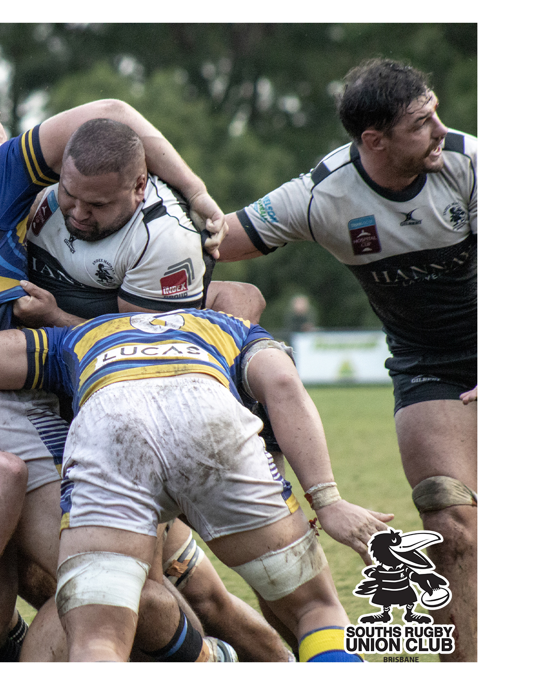 Souths Rugby Union... - Souths Rugby Union Club Incorporated