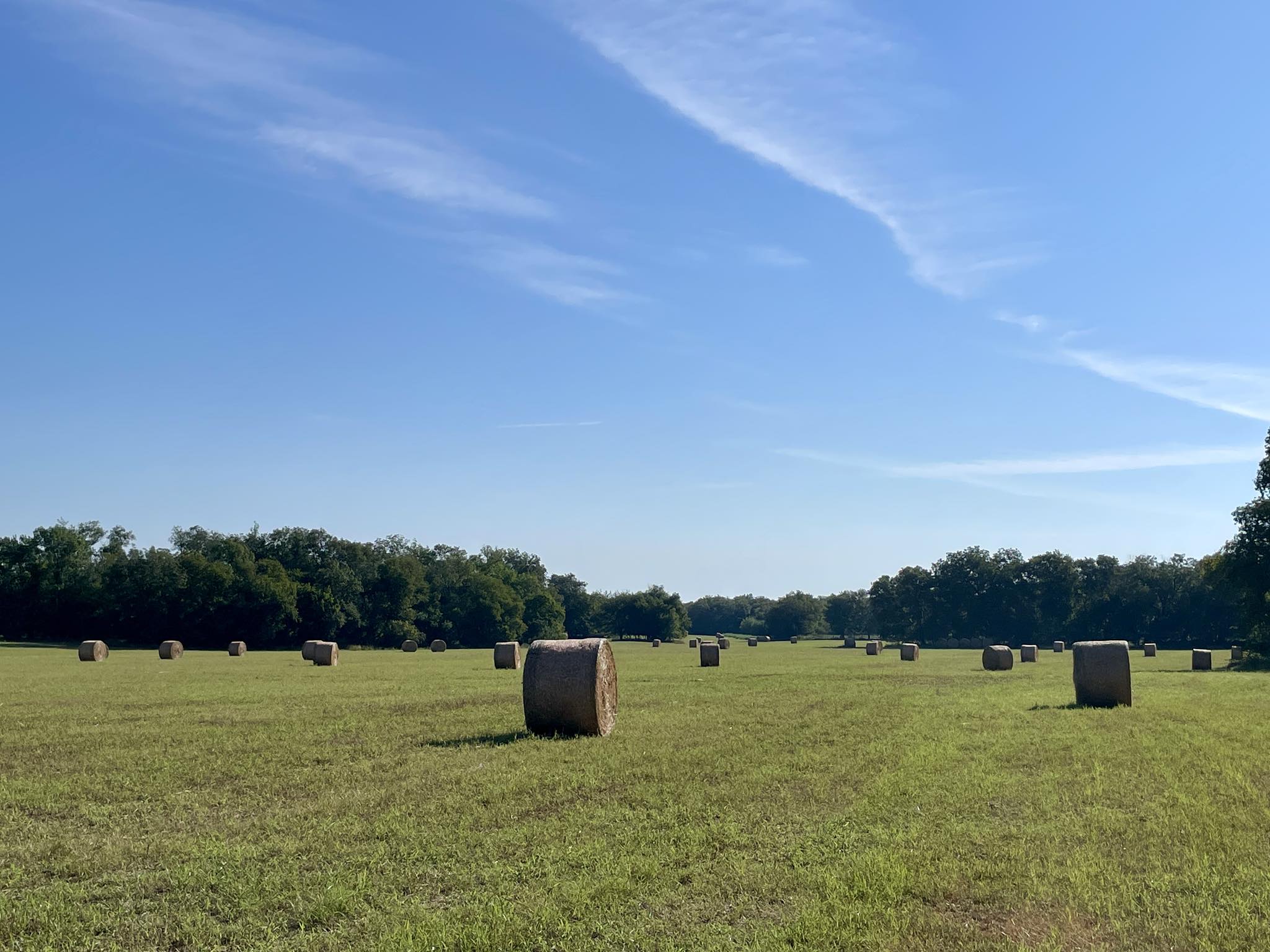 r3 hilltop ranch | Chilton TX