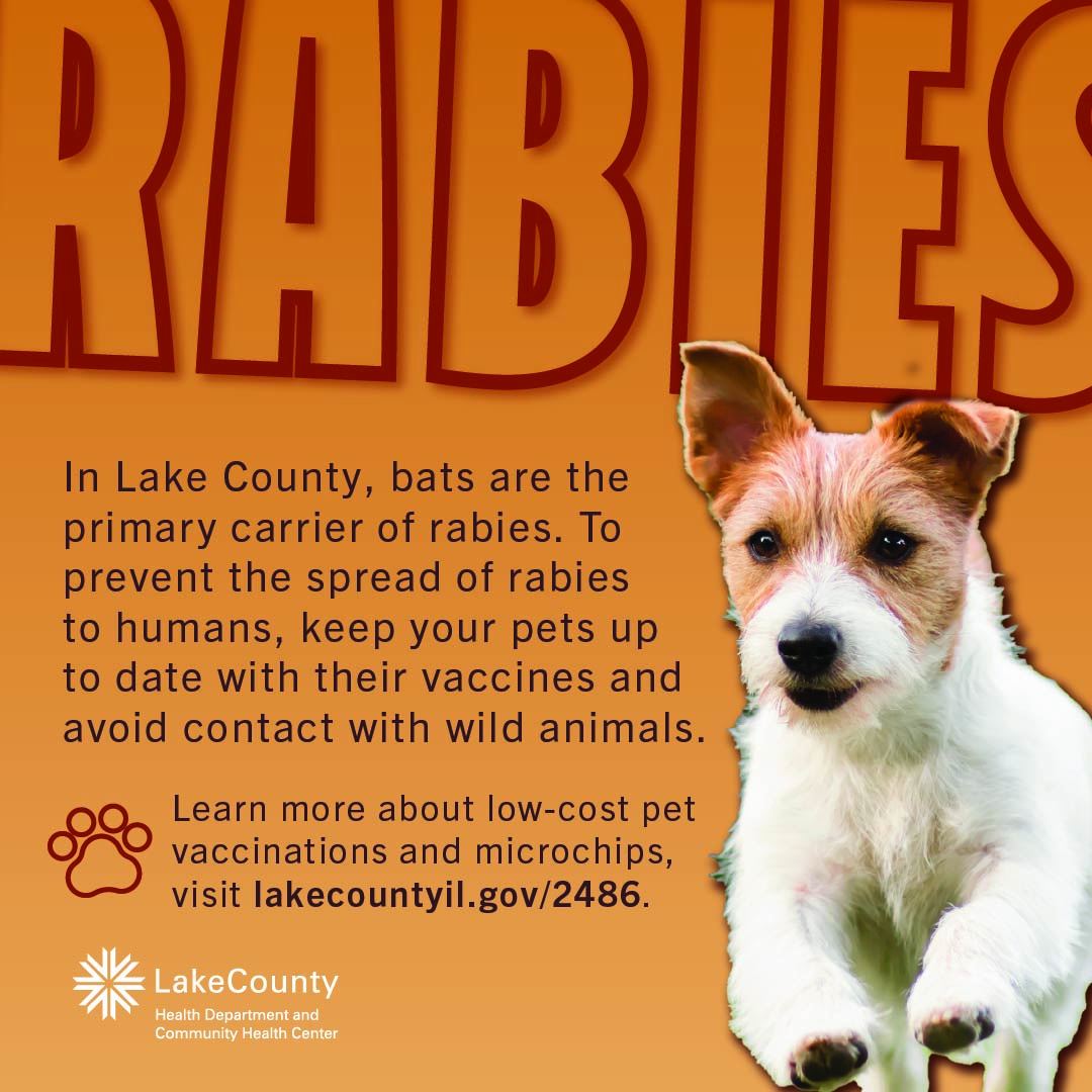 Lake - Today is World Rabies Day, a time to raise awareness about the ...