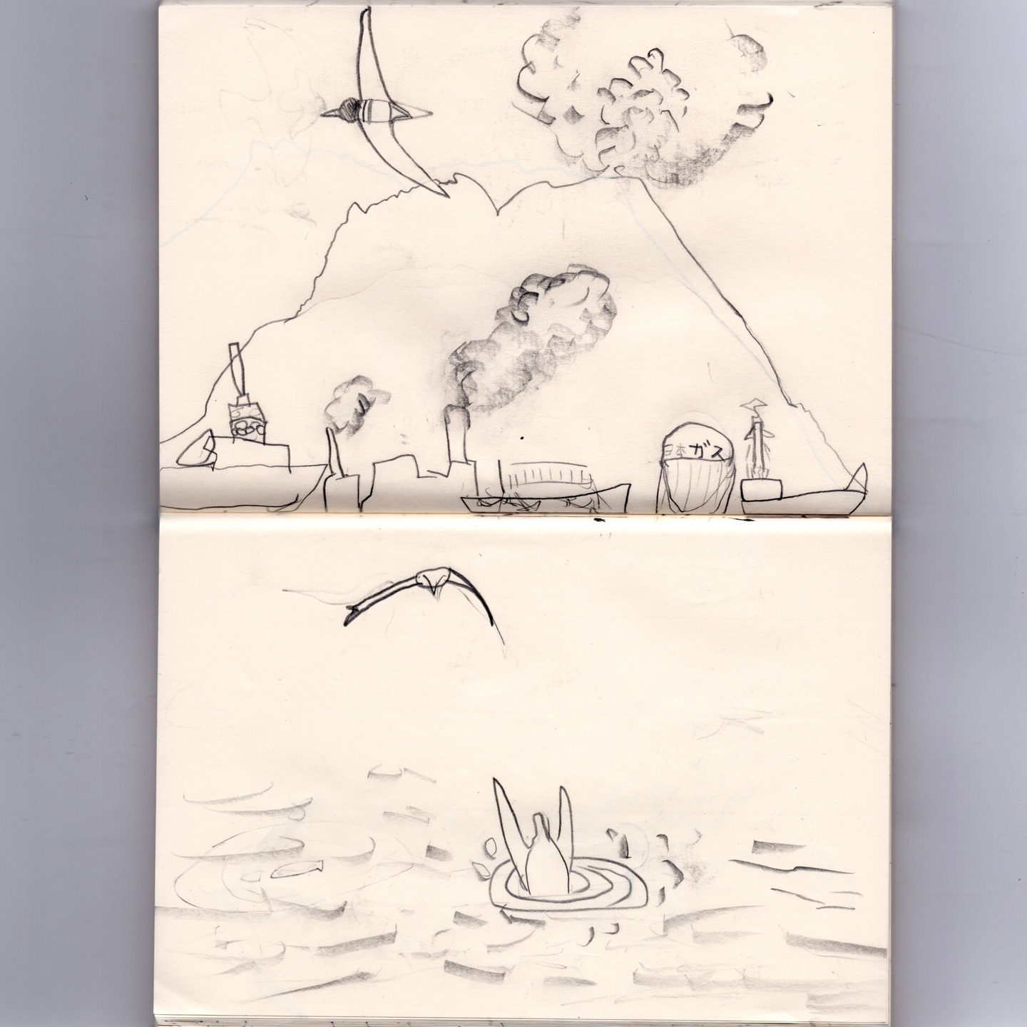 Brown boobies diving to catch fish with Sakurajima in the