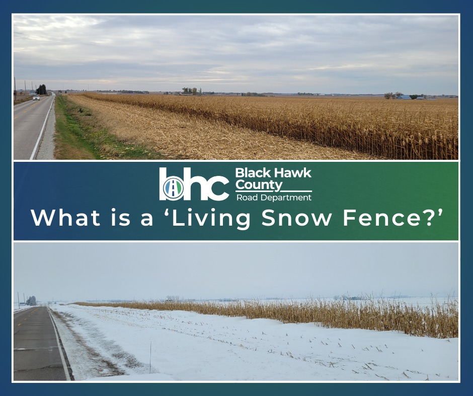 Black - ️ What is a ‘Living Snow Fence?’ ️ The Living Snow Fence uses ...