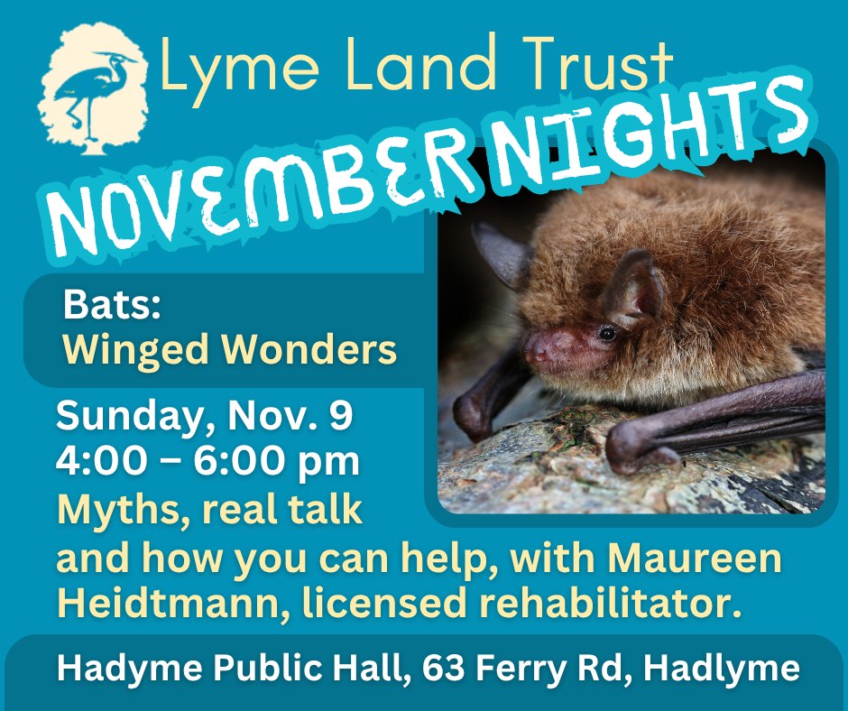 Lyme - Bats: Winged Wonders, presented by Maureen Heidtmann at the ...