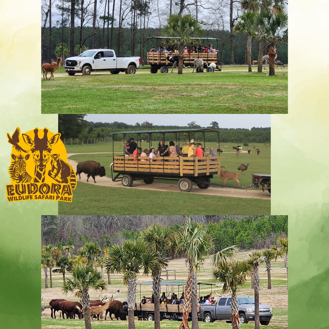Eudora Wildlife Safari Park | Salley SC