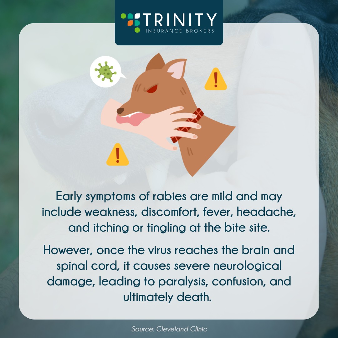 Trinity - Rabies can be deadly, but early detection can save lives! If ...