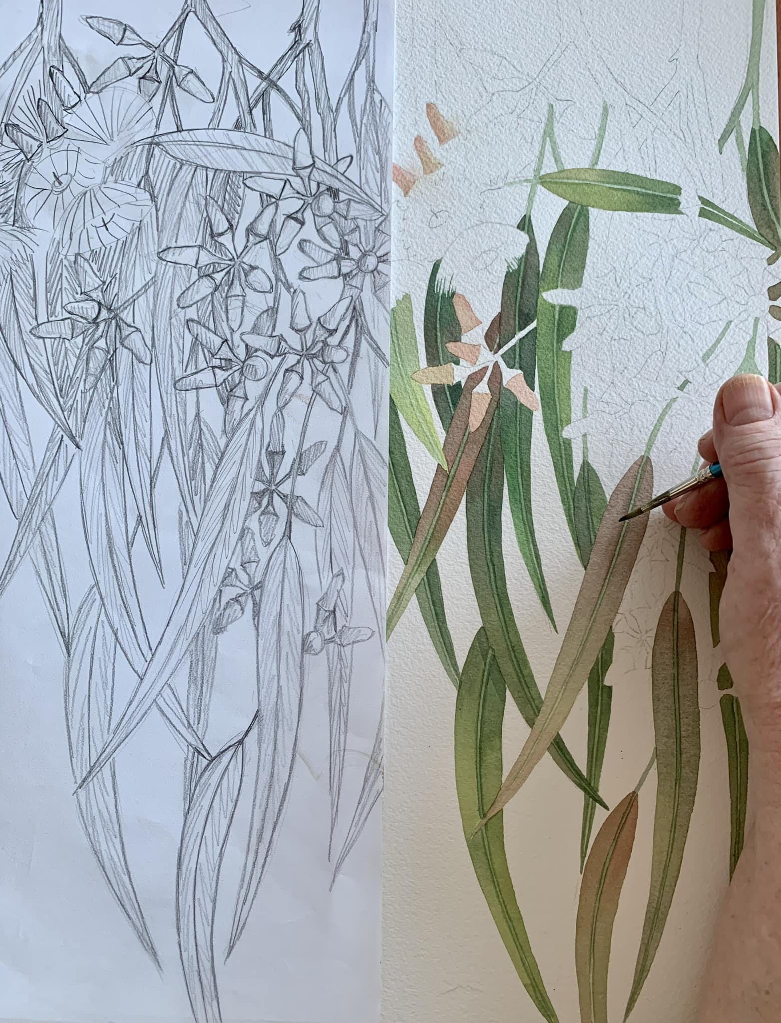 Debra - Are you drawing whenever you can? The more sketching you do the ...
