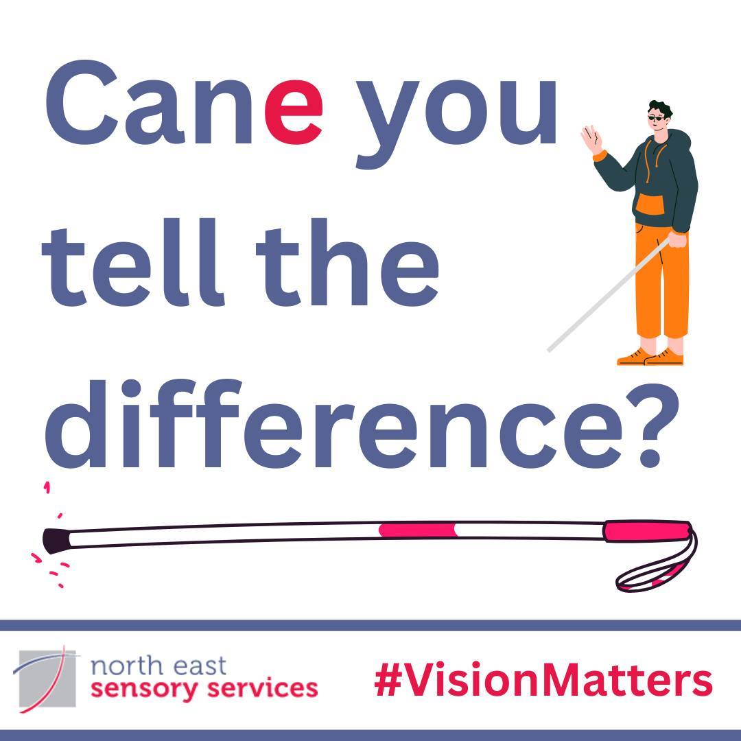 North - 👩‍🦯 Did you know there are different types of canes used by ...
