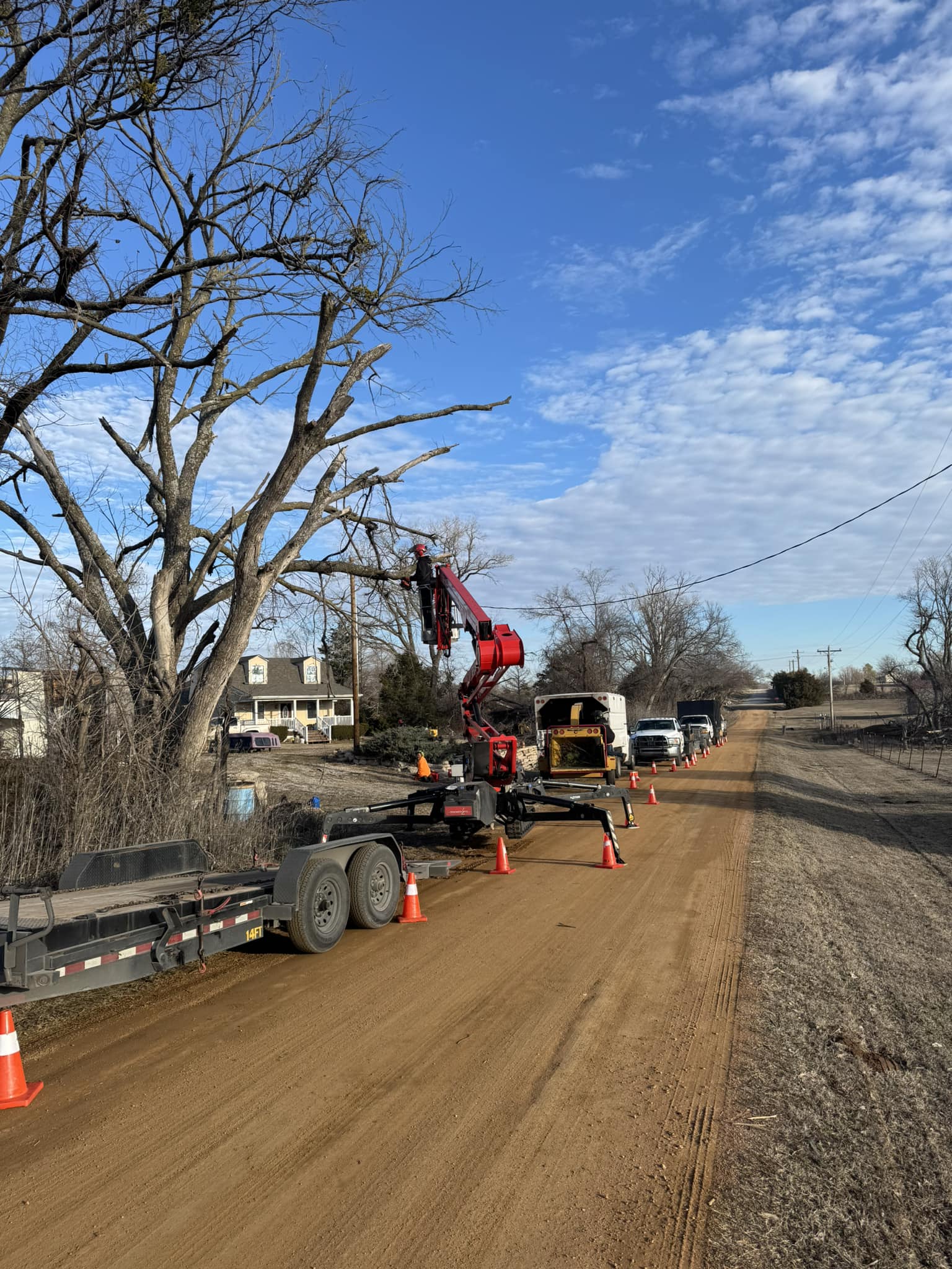 Arbor Image Tree Care | Oklahoma City OK