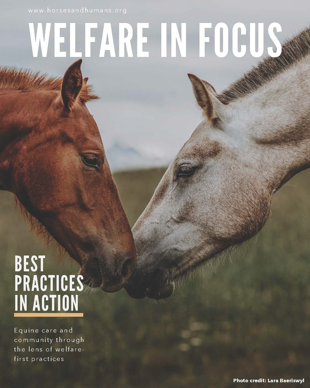 Horses - We are proud to share the results of a collaborative project ...