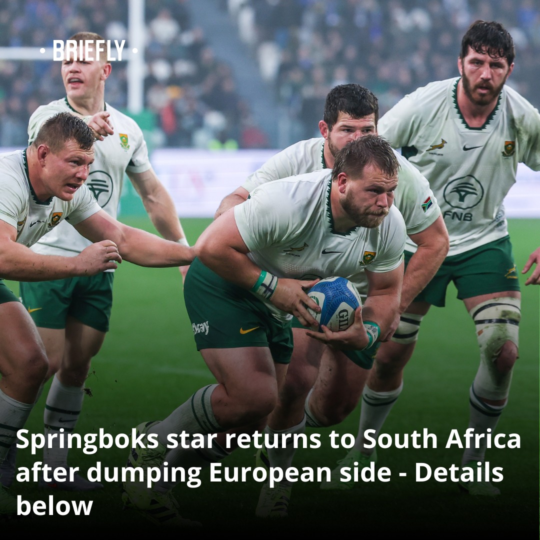 Briefly - A Springboks star is coming back home after spending years ...