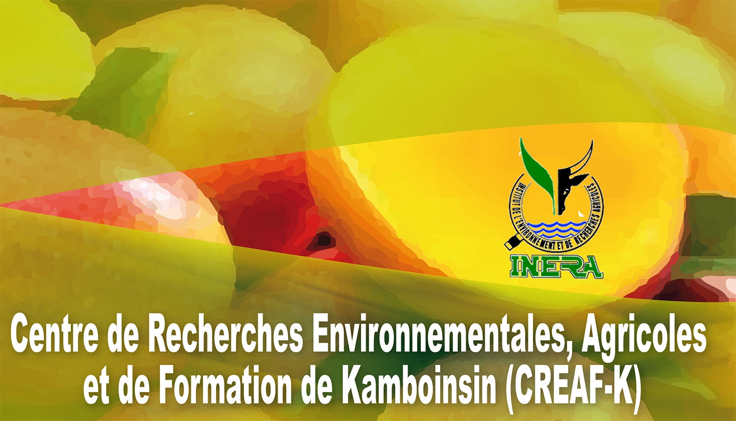 Clôture des Journées Scientifiques de l’INERA : hommage aux pionniers ...
