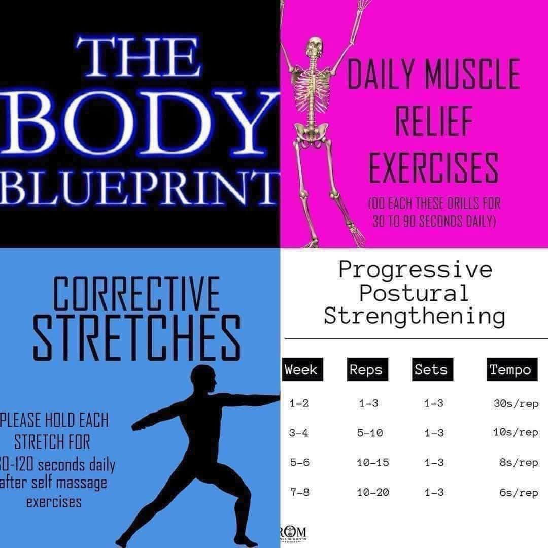 Range of Motion - The Body Blueprint breaks the body up... | Facebook