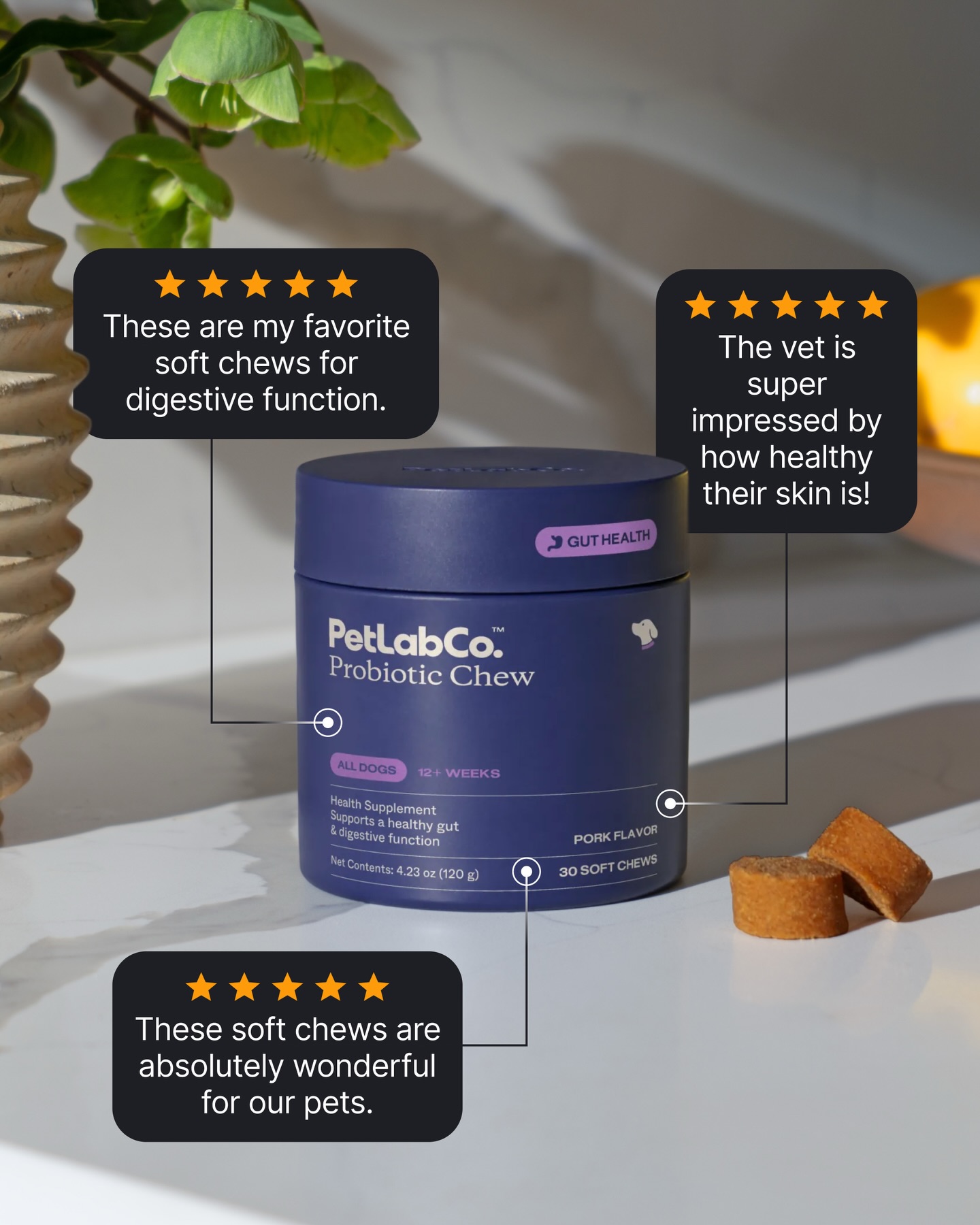 PetLab Co.