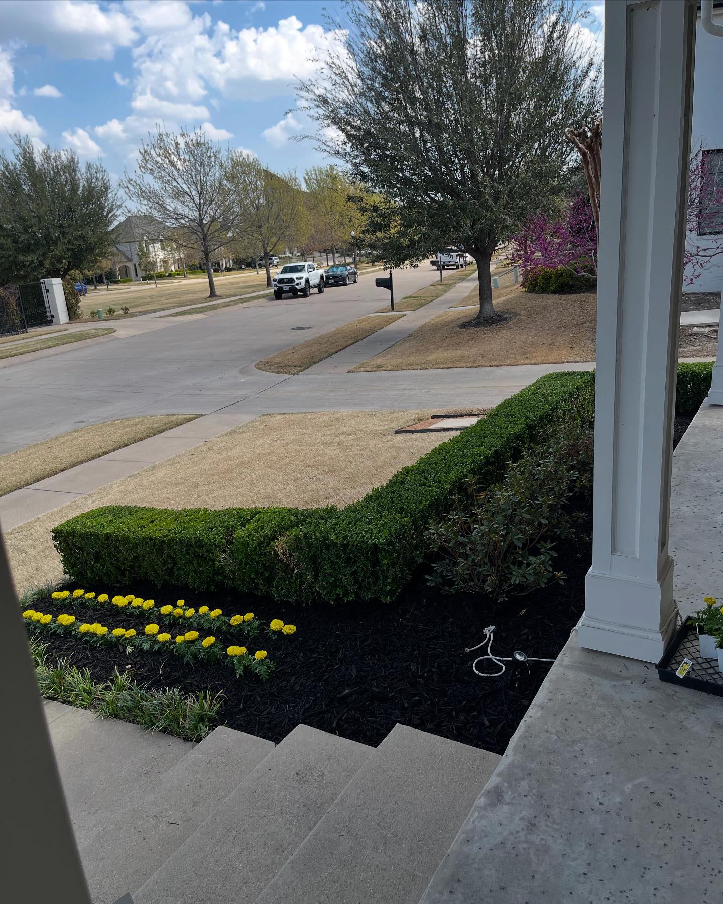 T-Pros Lawn & Landscaping LLC