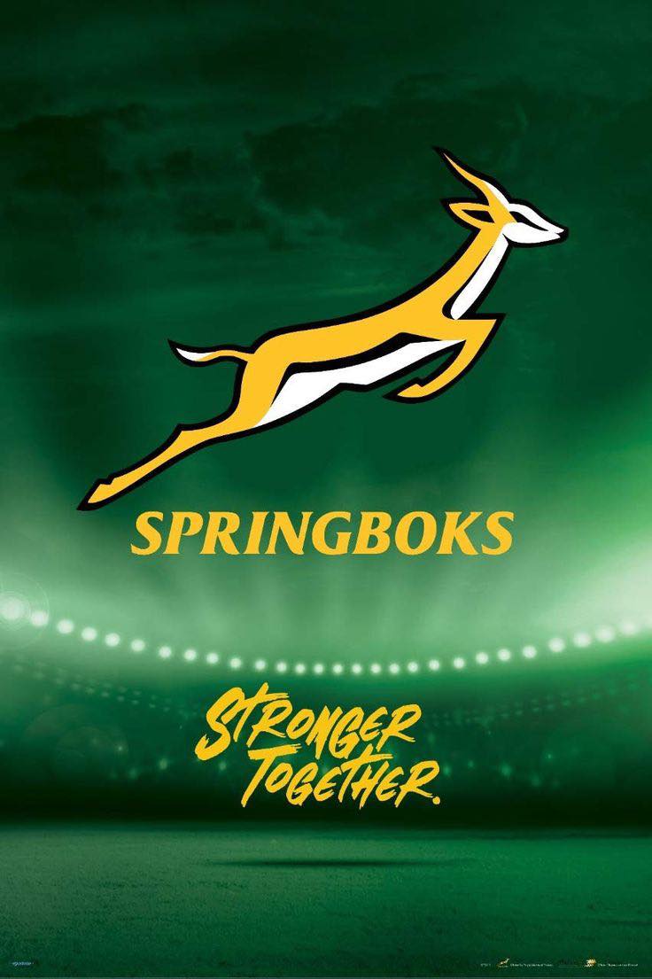Western - 🇿🇦 What a comeback! The Springboks roared back to defeat New ...