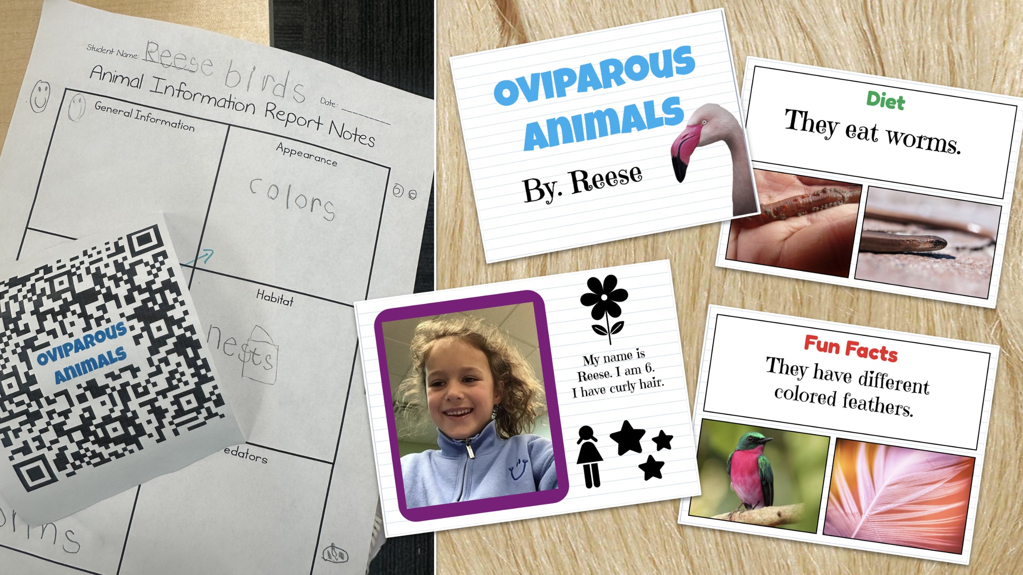 Our kindergarteners researched,... - The Library Voice | Facebook