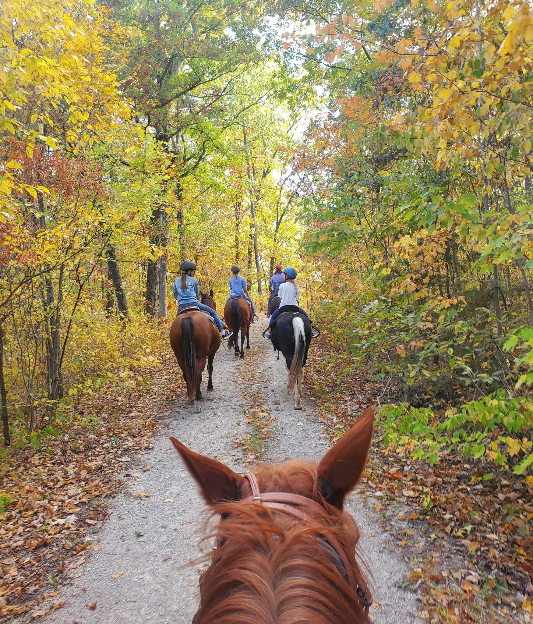 Spring Lake Ranch | Potosi MO