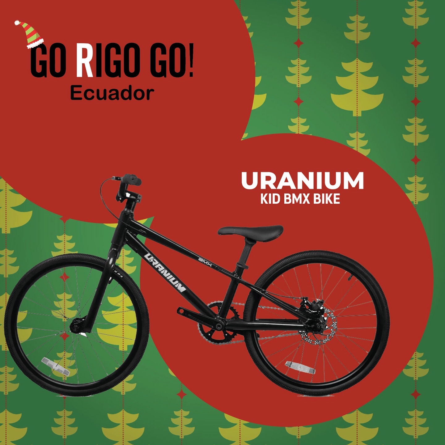 GO RIGO GO Ecuador