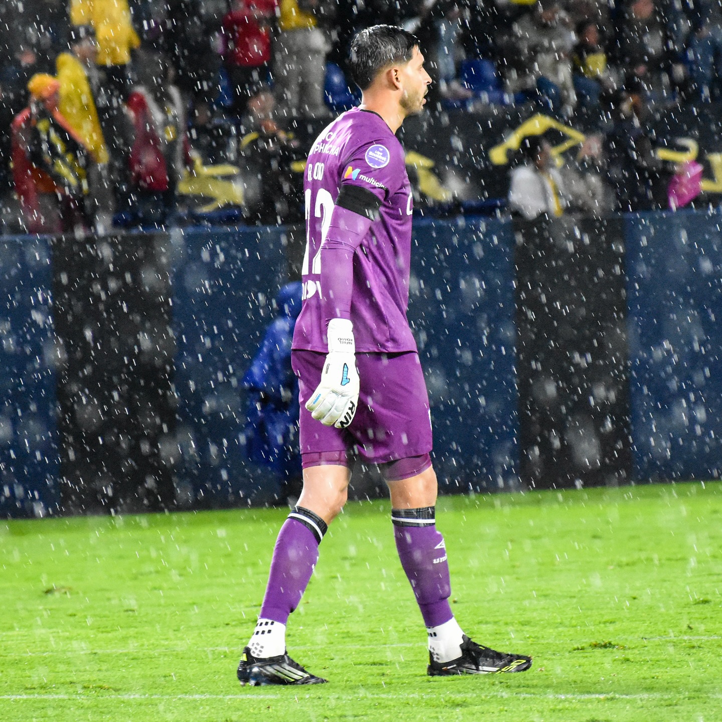 Rafa Romo