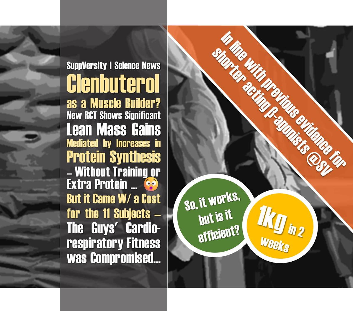 clenbuterol vs l carnitine CREATINE & COMBINATION? LÖWE No11 (11.104) Precision Vitamin Shot Flavor:Guava Paradise