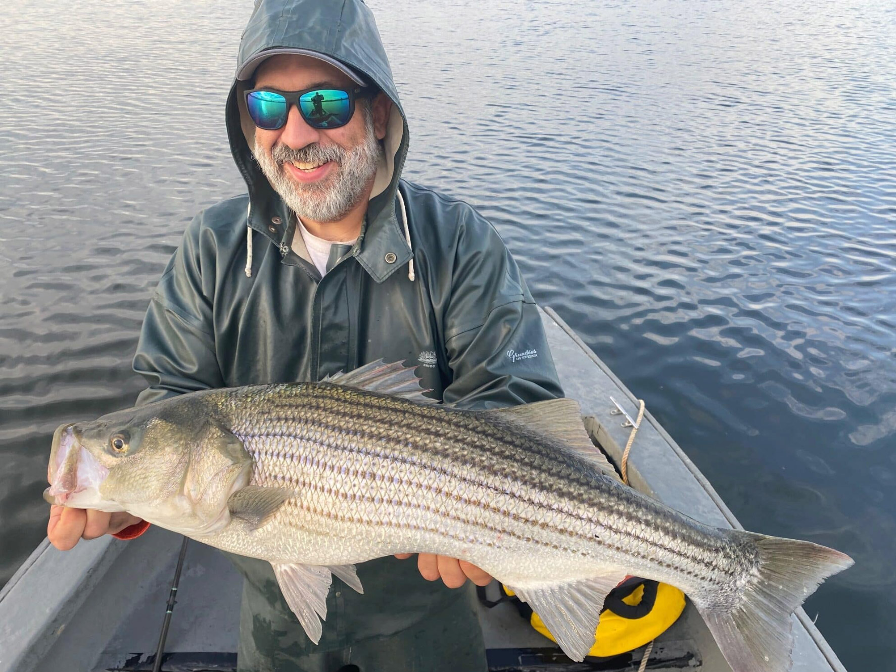 best freshwater topwater lure for striped bass stripers Nomad Tackle Inshore Bundle A true classic and renowned fish catcher 8 Scents to Attract Striped