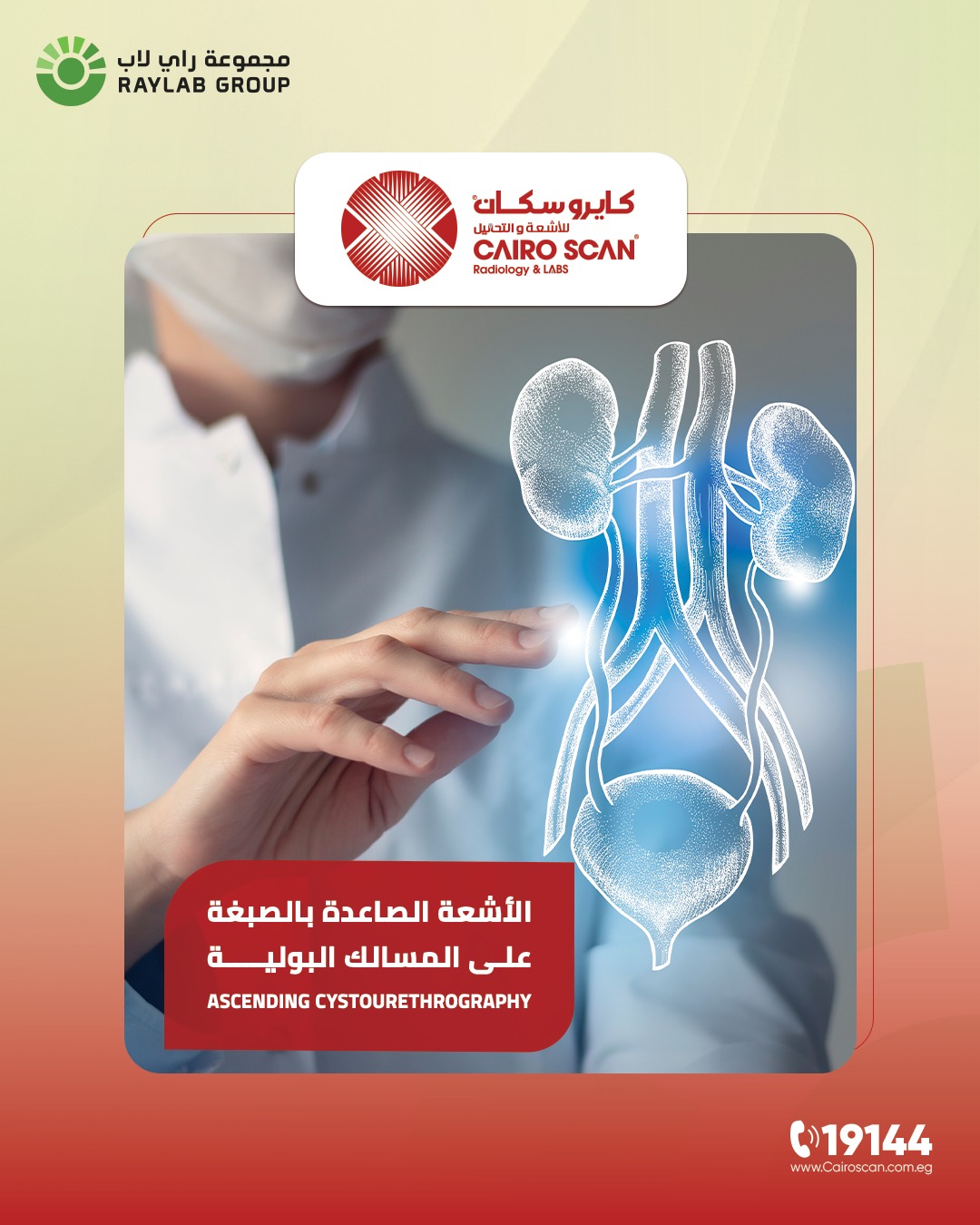 Cairo Scan Radiology&Labs... - Cairo Scan Radiology&Labs