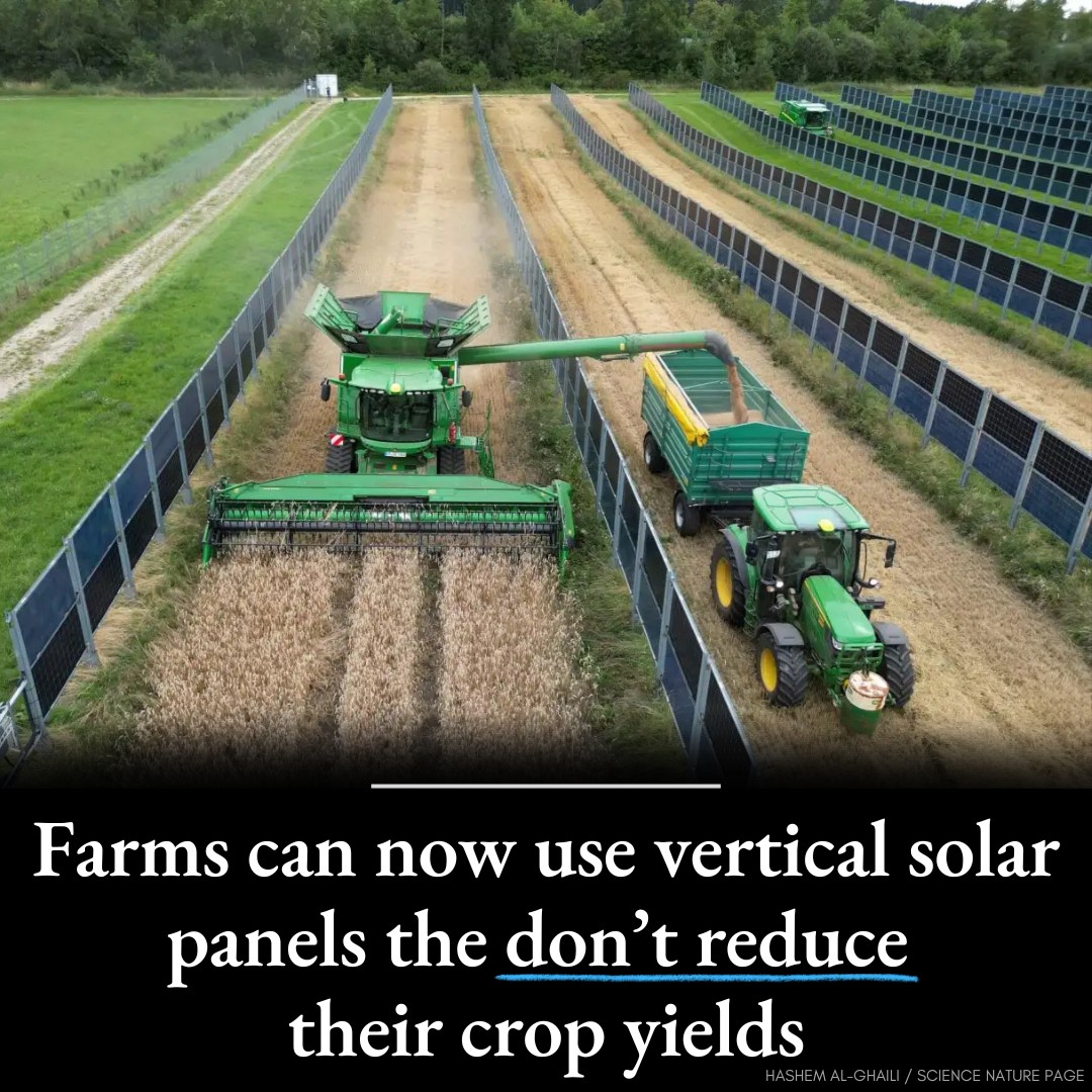 Hashem - Solar panels are now so affordable that researchers say ...