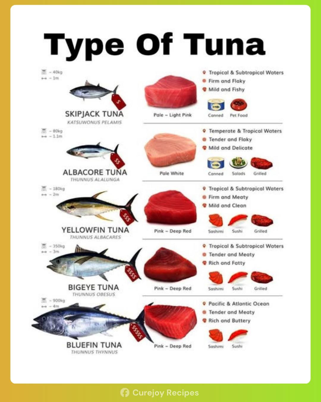 Curejoy - Tuna isn’t just one fish—it comes in varieties like skipjack ...