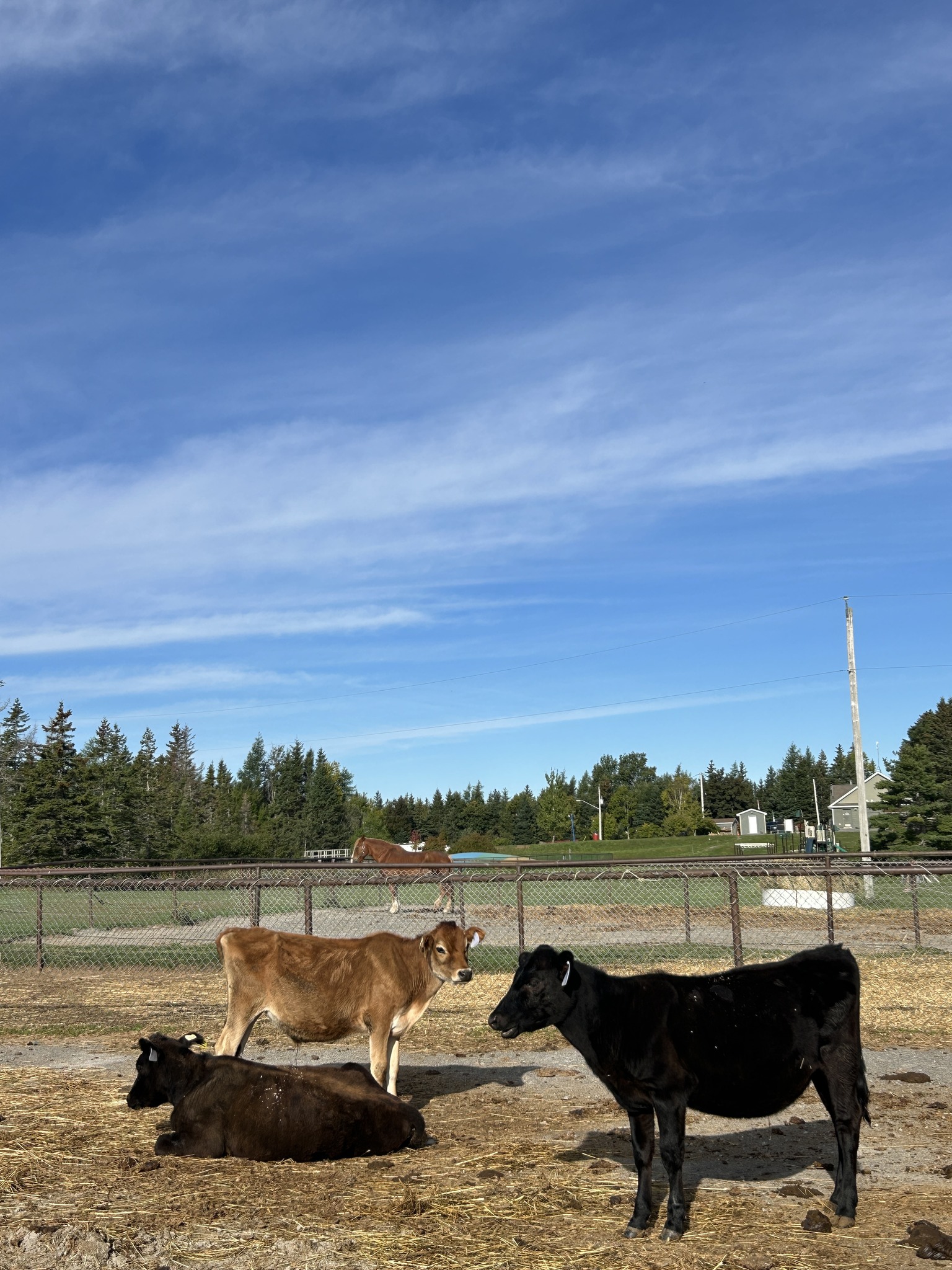 Two Rivers Wildlife Park | Mira NS