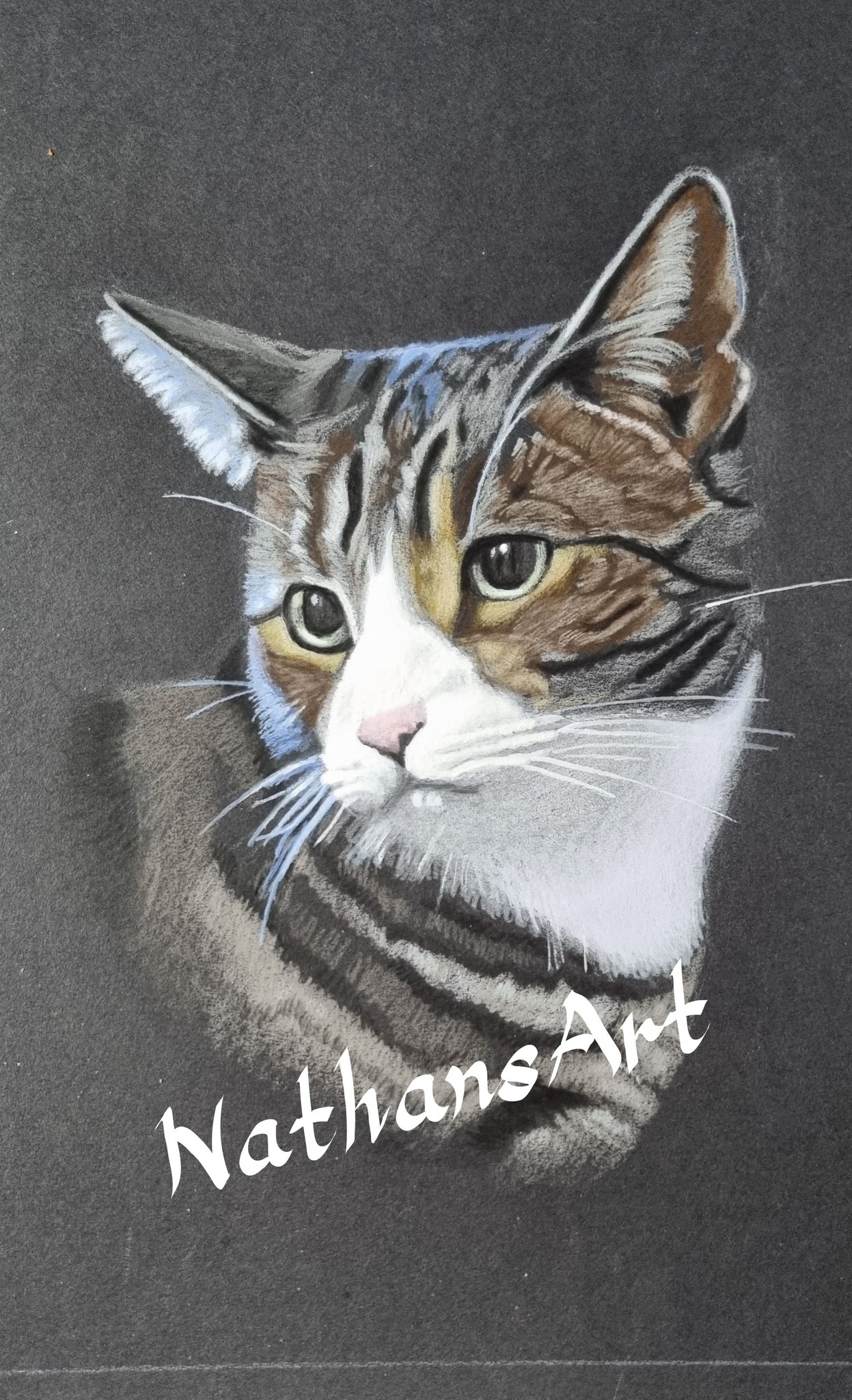 NathansArt - - Nathan Lock