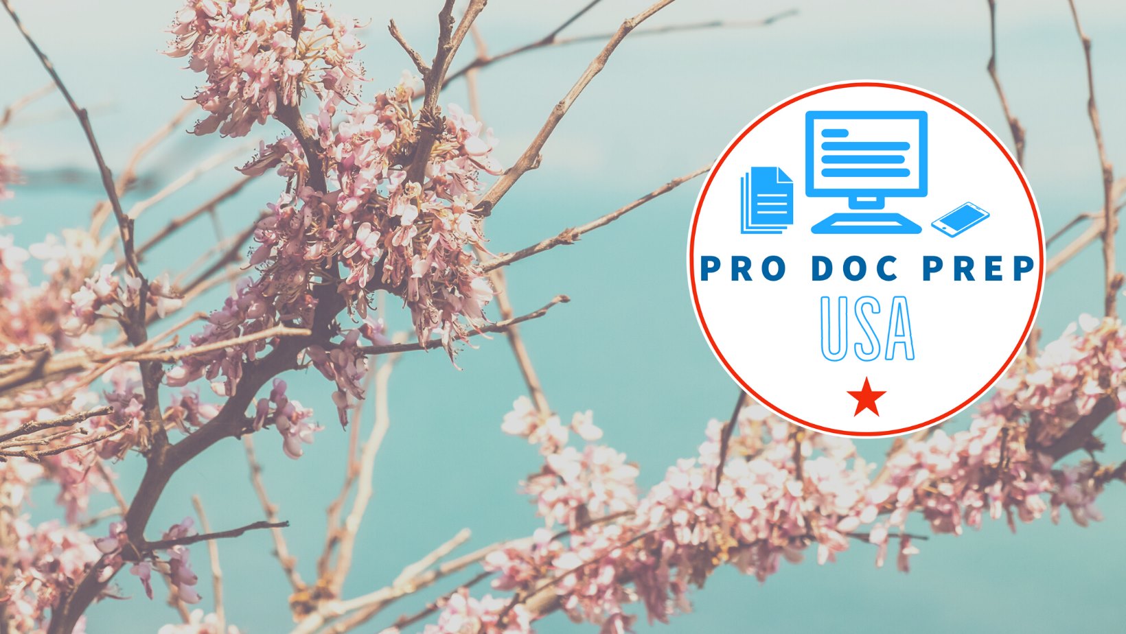 Pro Doc Prep USA