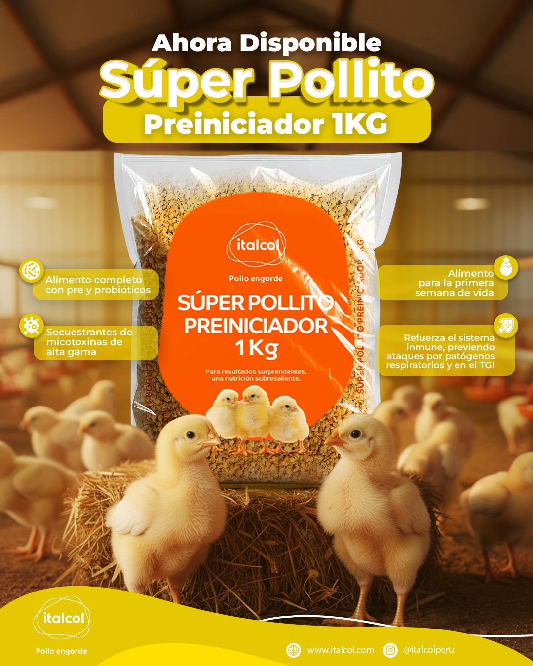 Italcol Nutrición Animal added... - Italcol Nutrición Animal