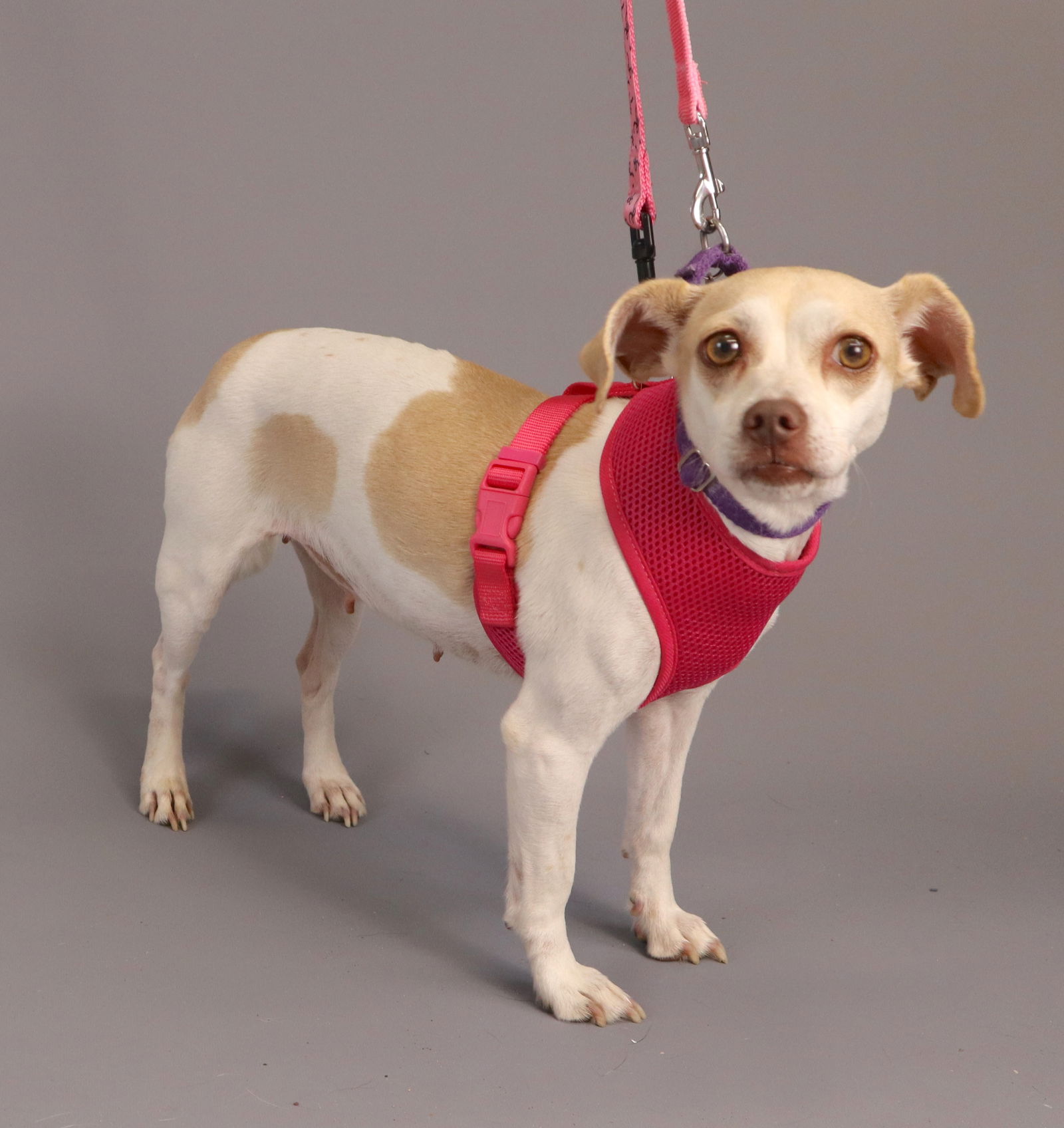 Ruff - Sandy - attending from 1-3 | Facebook