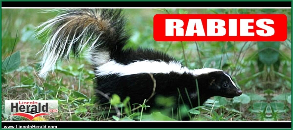 LincolnHerald.net - Gaston County Confirms 14th Rabies Case of 2025 ...