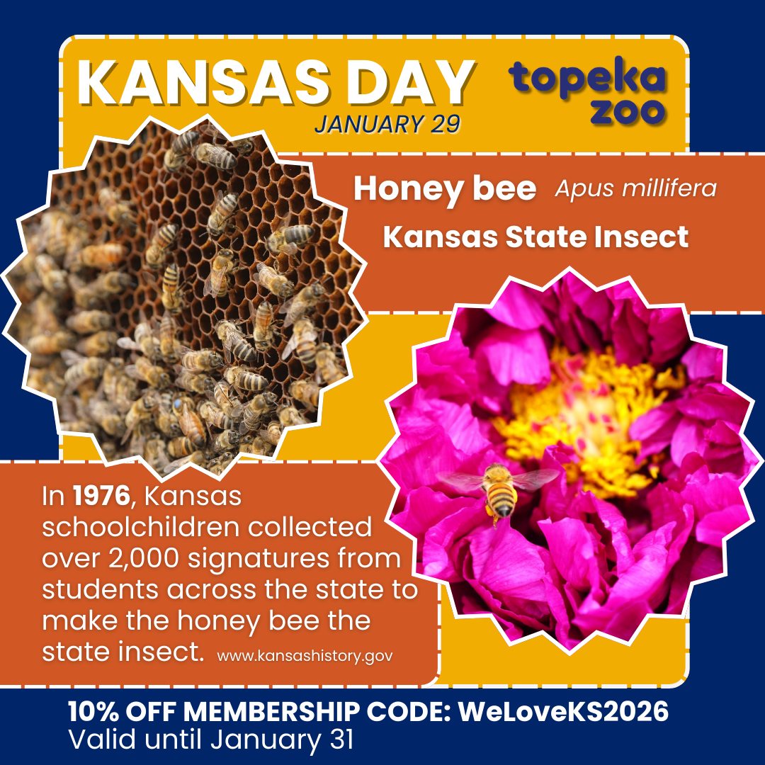 Topeka - 🌻Happy Kansas Day🌻 In 1976, Kansas schoolchildren across the ...