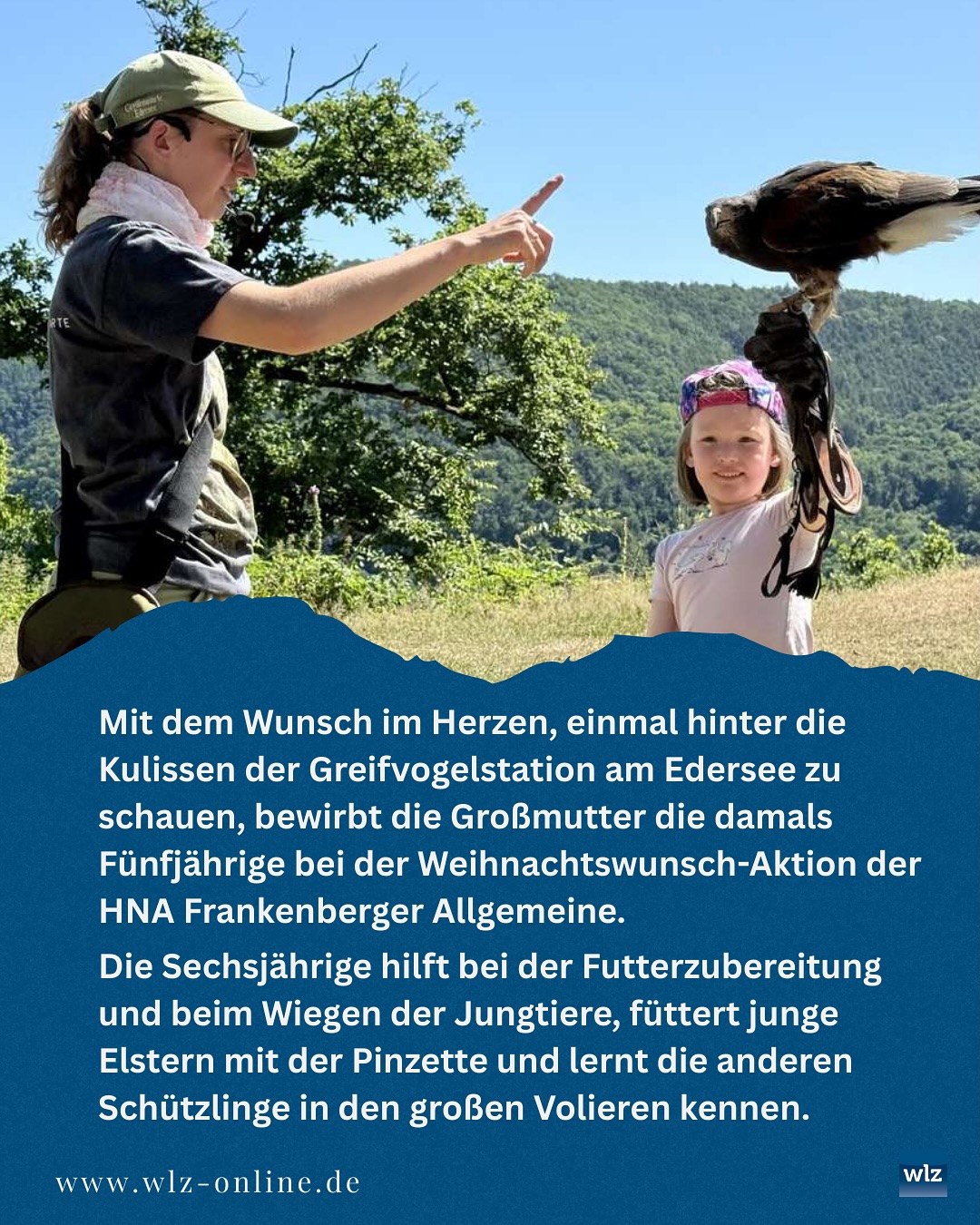 Armsfeld | Bad Wildungen