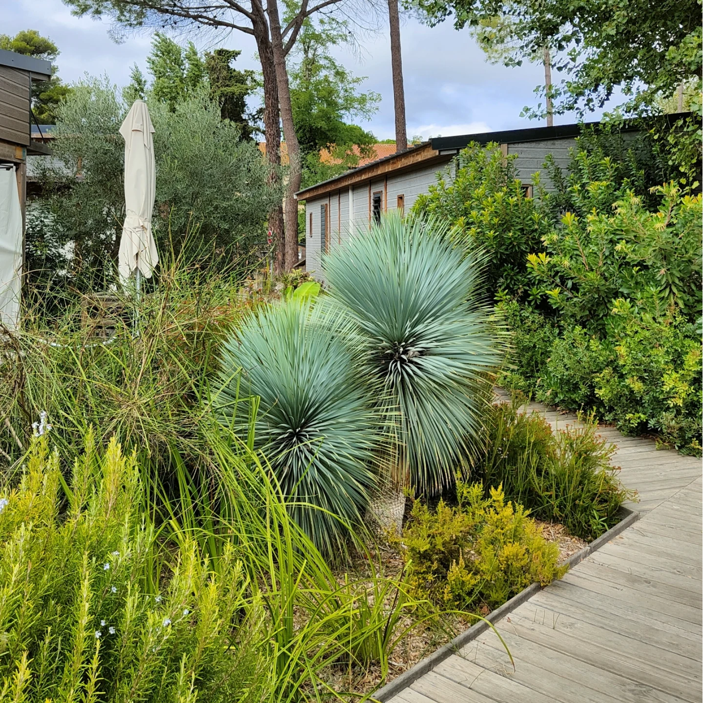 Simonson Landscape | Paris