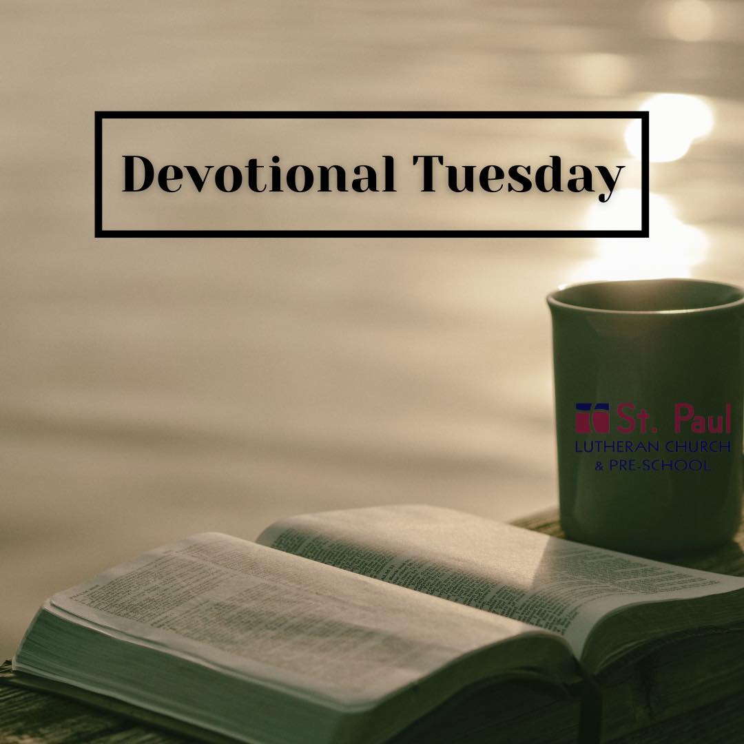 St - We begin by reading Luke 17:11-19. The Bible, especially the Old ...