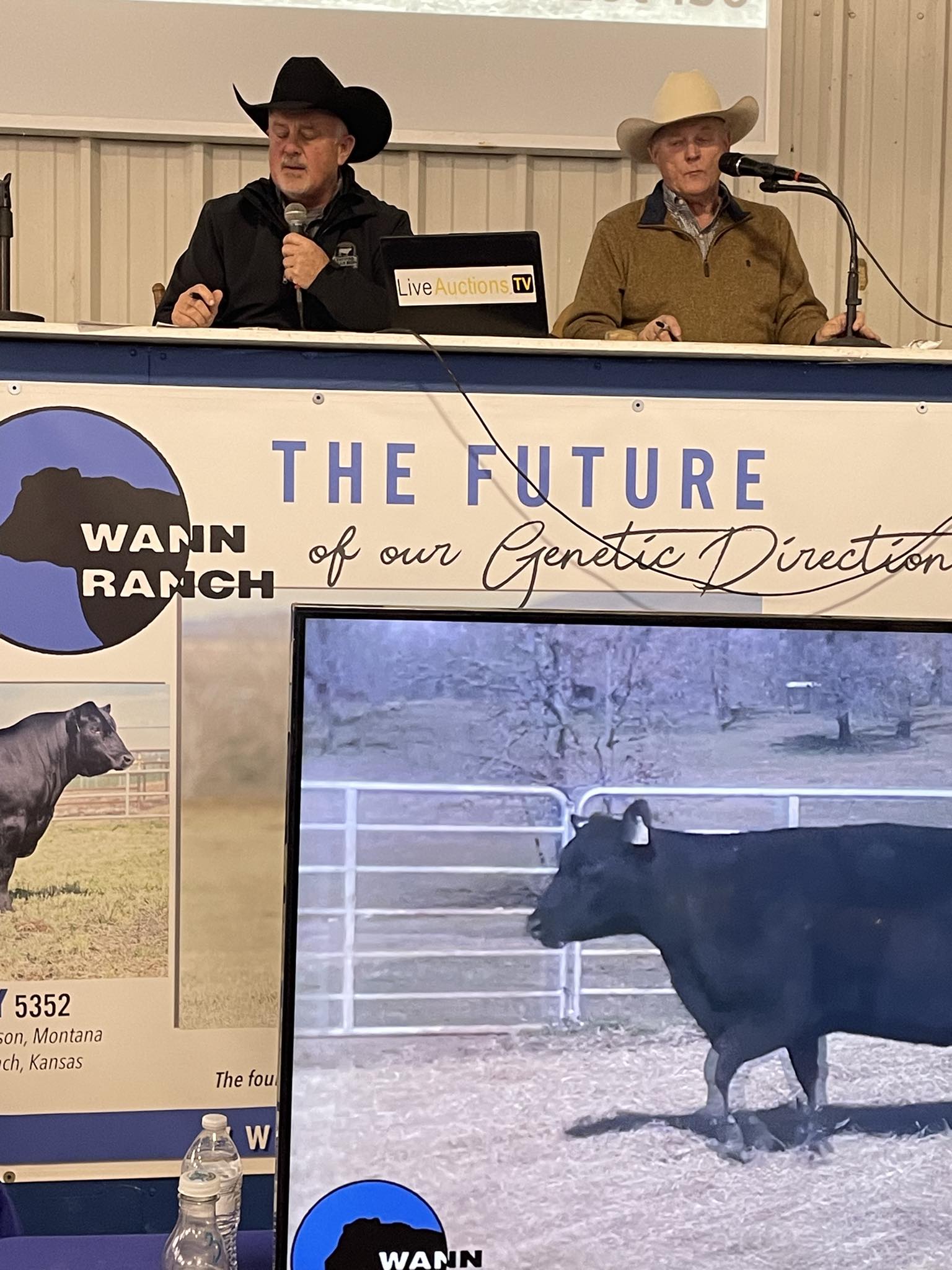 The Stock - Wann Ranch Angus Sale • Poteau, OK 75 Older Bulls/$7,830 ...