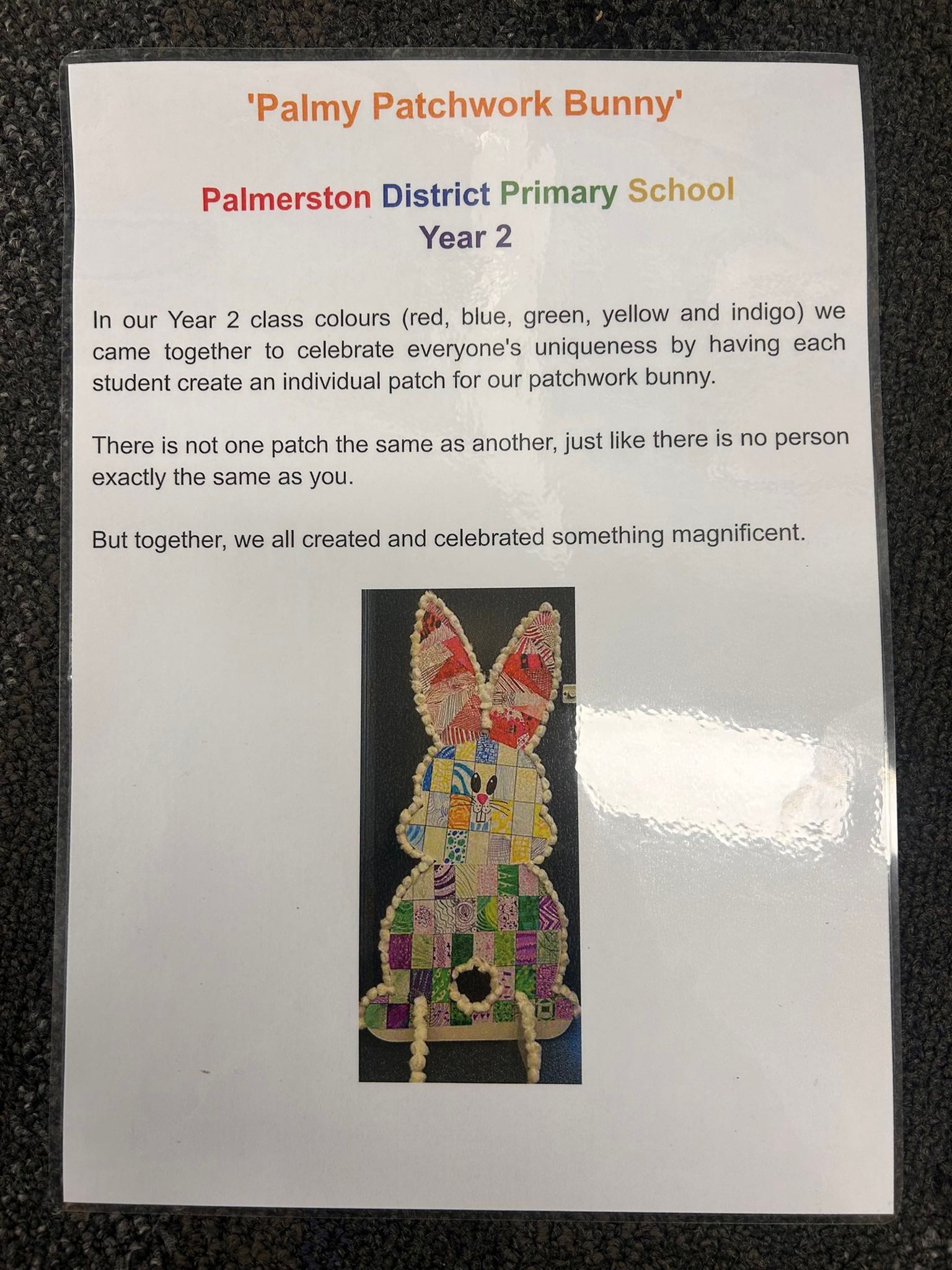 Palmerston District... - Palmerston District Primary School