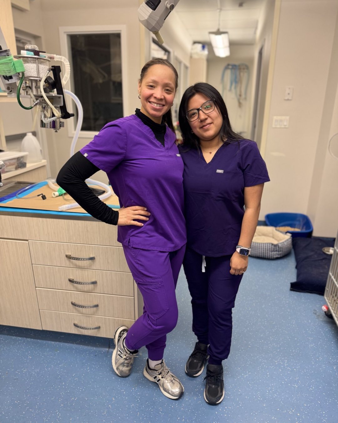 City Veterinary Care Born and raised in Pittsburgh, PA, Dr. Amelia